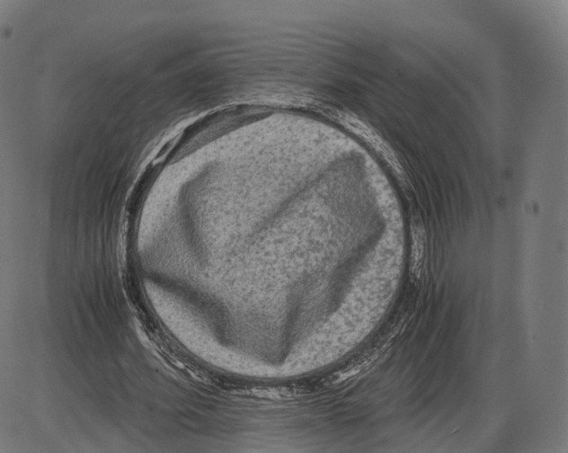 X0000084000580200703161650