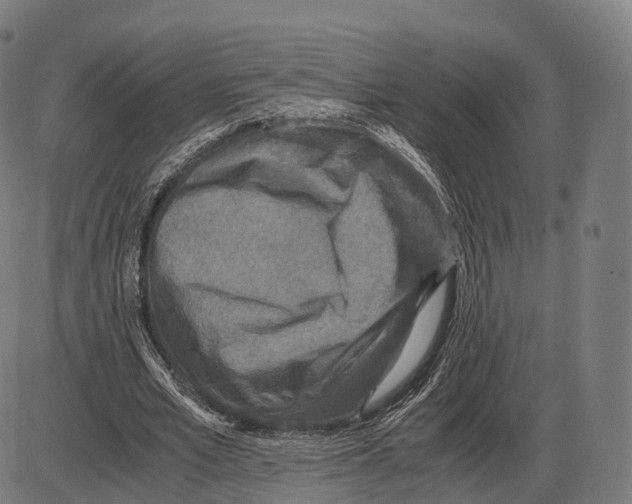 X0000084000581200703161650