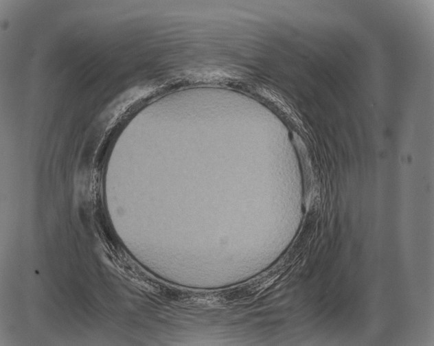 X0000084000583200703161650