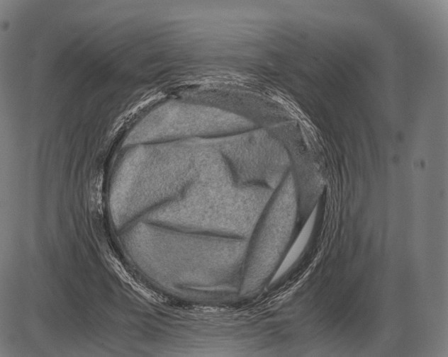 X0000084000585200703161650