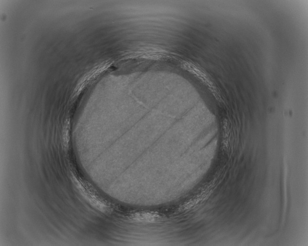 X0000084000586200703161650