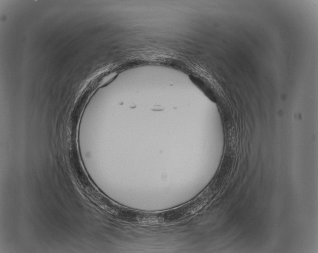 X0000084000587200703161650
