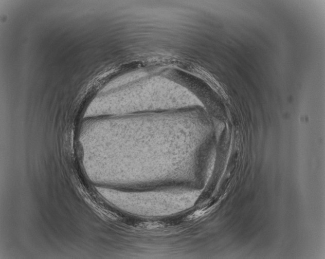X0000084000589200703161650