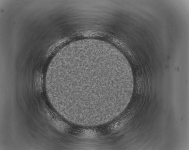 X0000084000592200703161650