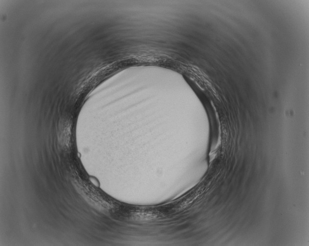 X0000084000596200703161650