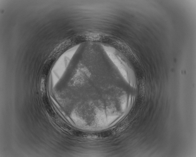 X0000084000598200703161650