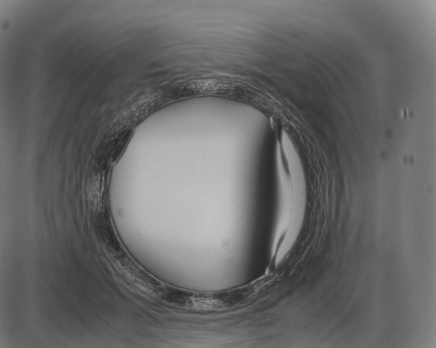 X0000084000605200703161650