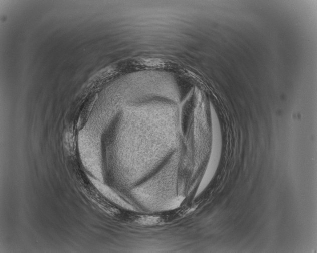 X0000084000609200703161650