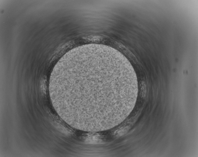 X0000084000612200703161650