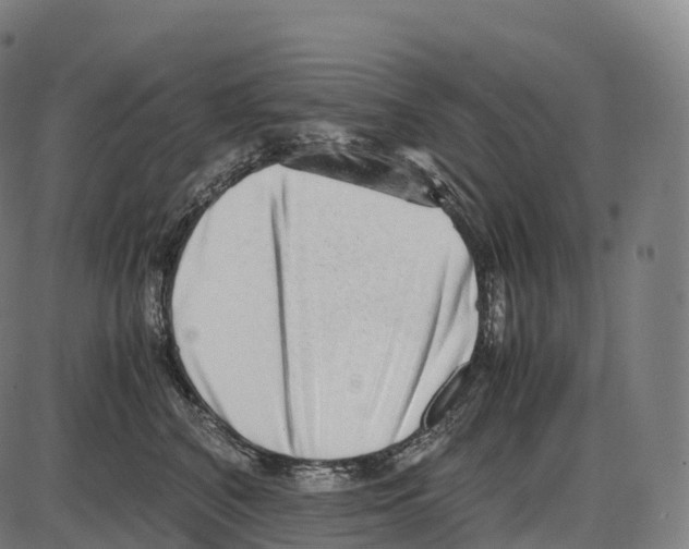 X0000084000616200703161650