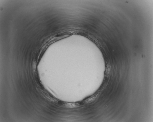 X0000084000623200703161650