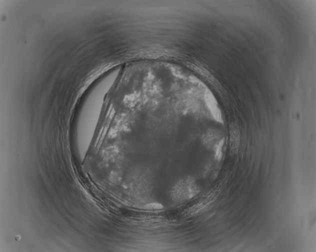 X0000084000626200703161649