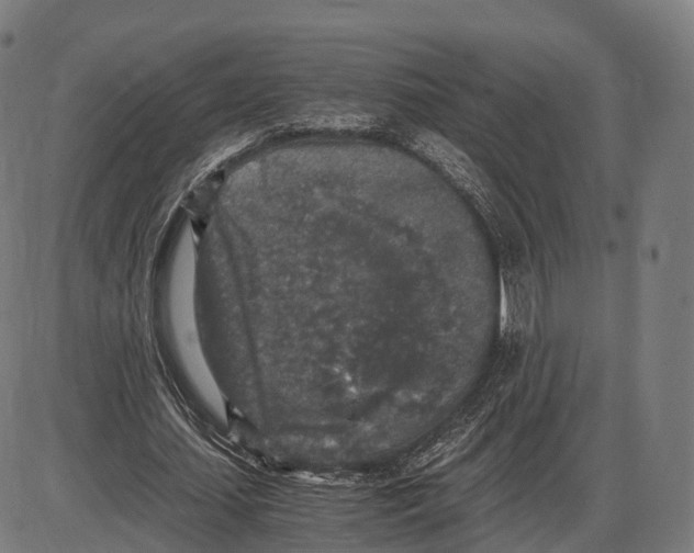 X0000084000627200703161649