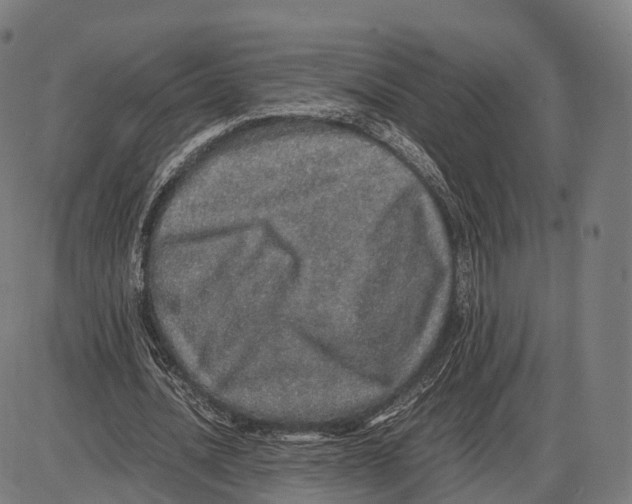 X0000084000628200703161649