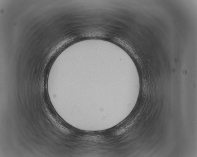 X0000084000629200703161649