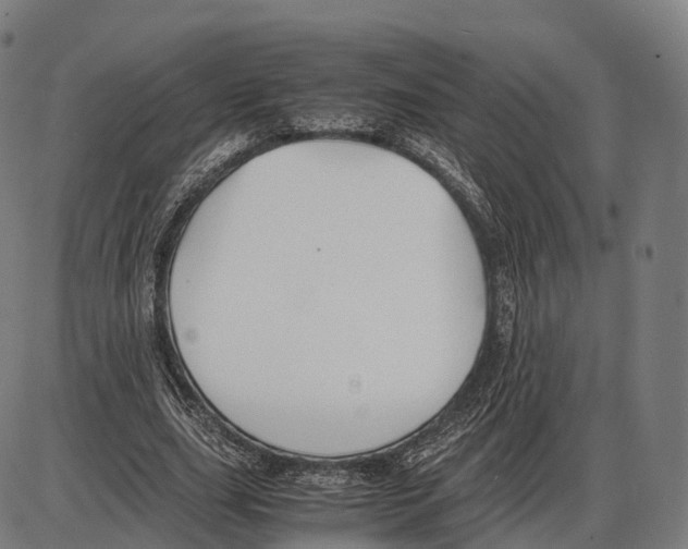 X0000084000631200703161649