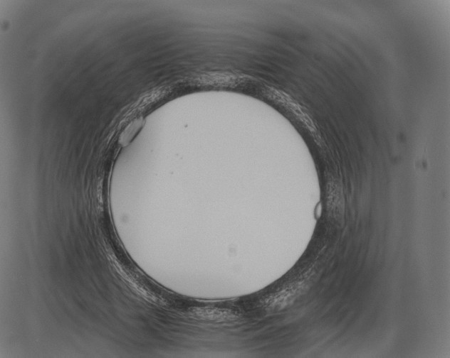 X0000084000633200703161649