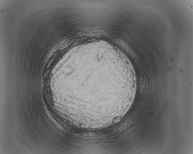 X0000084000634200703161649