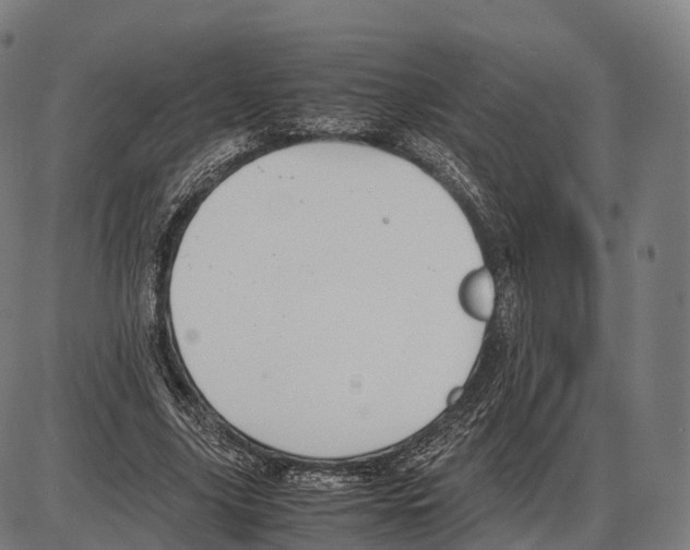 X0000084000635200703161649