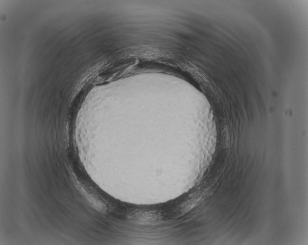 X0000084000638200703161649