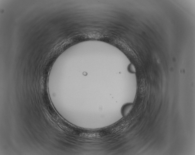 X0000084000639200703161649