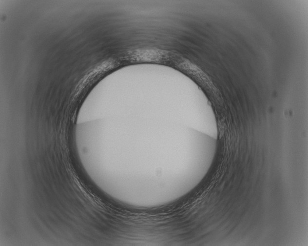 X0000084000640200703161649