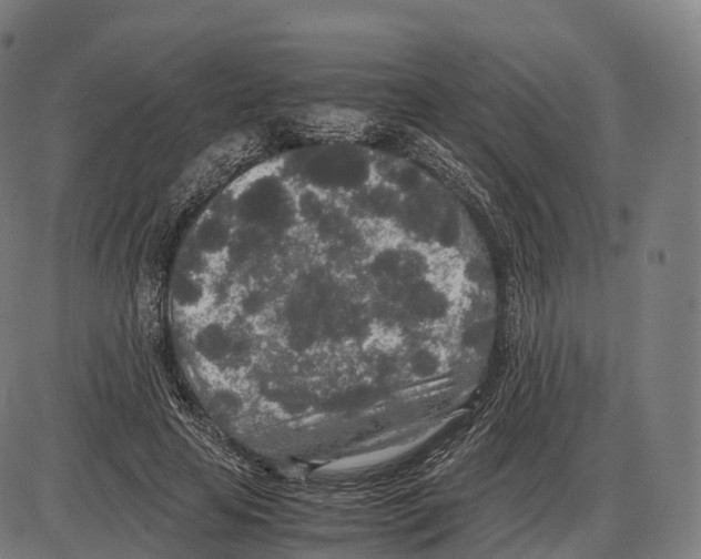 X0000084000641200703161649