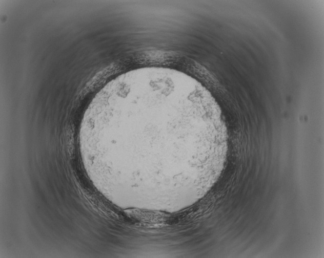 X0000084000642200703161649