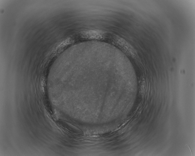 X0000084000643200703161649