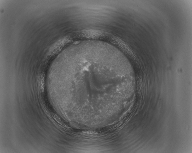 X0000084000644200703161649