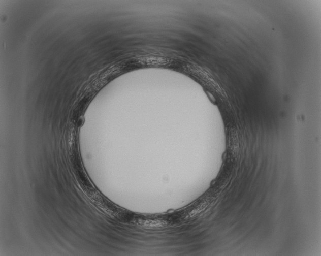 X0000084000645200703161649