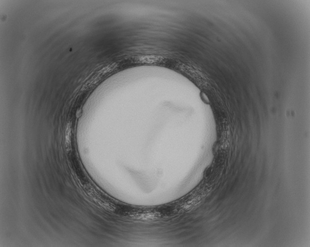 X0000084000646200703161649