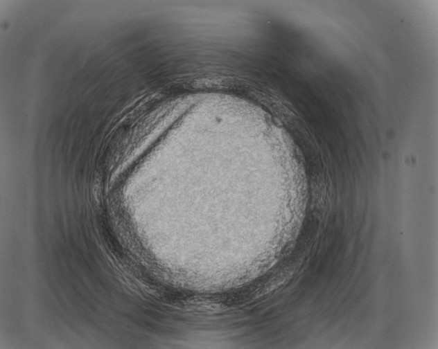 X0000084000648200703161649