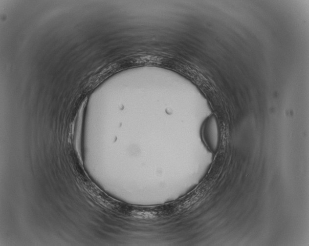 X0000084000649200703161649