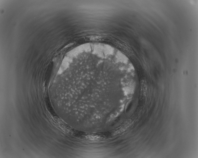 X0000084000650200703161649