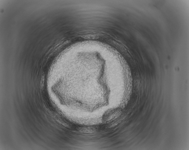 X0000084000652200703161649