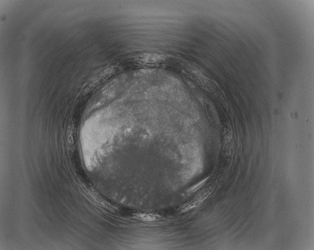 X0000084000654200703161649