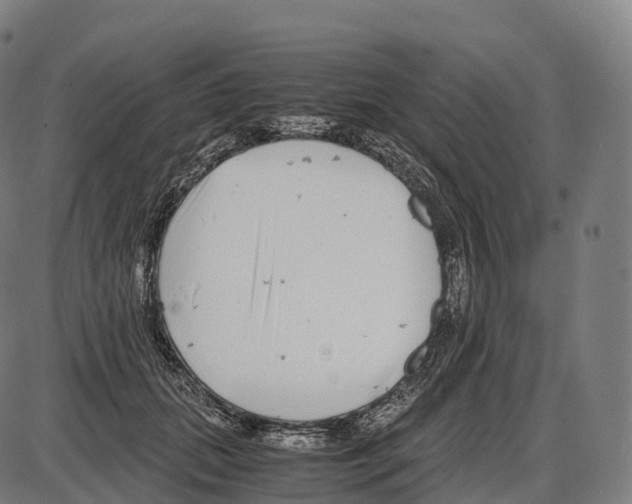 X0000084000655200703161649