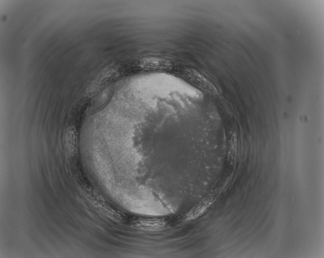 X0000084000659200703161649