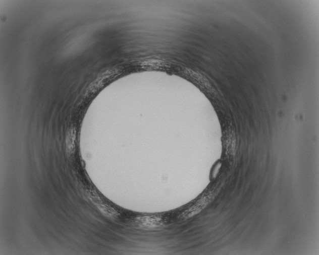 X0000084000660200703161649