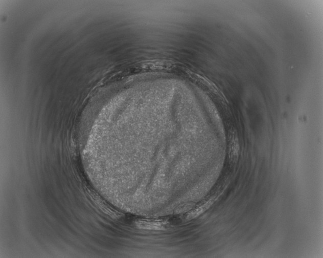 X0000084000661200703161649