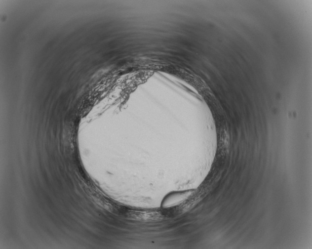 X0000084000663200703161650
