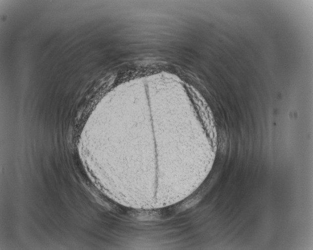 X0000084000670200703161650