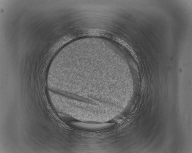 X0000084000673200703161649