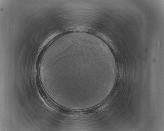 X0000084000674200703161649