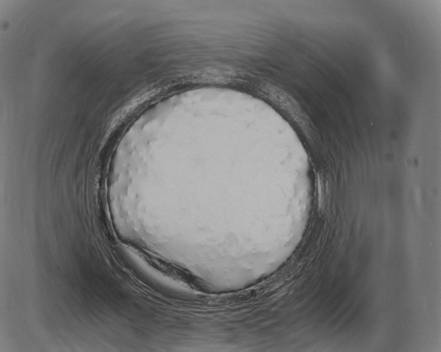 X0000084000675200703161649