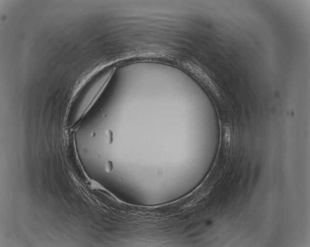 X0000084000676200703161649