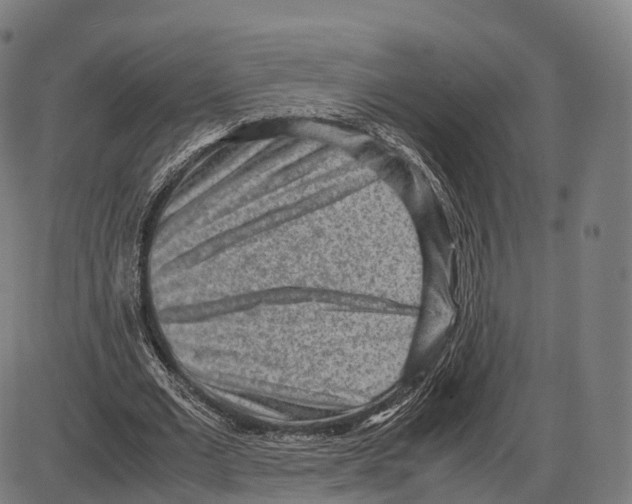 X0000084000677200703161649