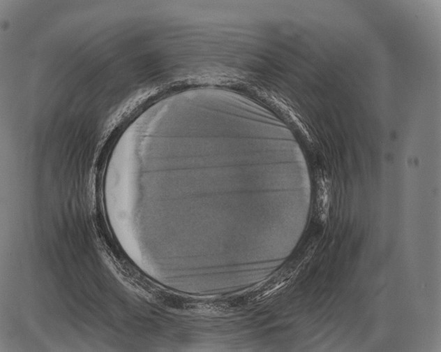 X0000084000678200703161649