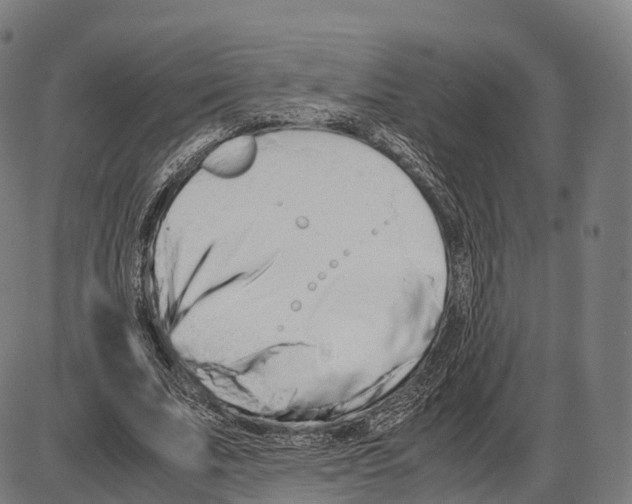 X0000084000679200703161649